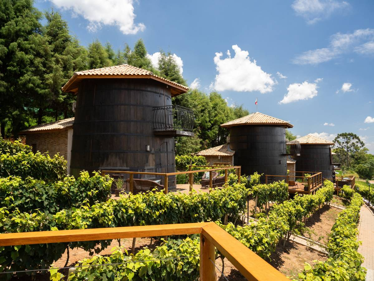 Chalés de madeira em formato de barris de vinho diante do vinhedo